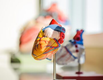 jesse-orrico-Us3AQvyOP-o-unsplash Cardiovascular Surgery - Nexus Global